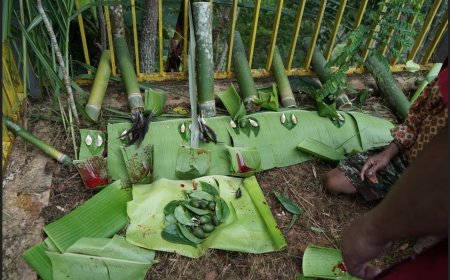 Ma' Palapa Bugi' Kembali Digelar di Tana Toraja Setelah 20 Tahun: Kebangkitan Budaya dan Spiritualitas Leluhur