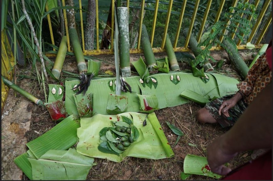 Ma' Palapa Bugi' Kembali Digelar di Tana Toraja Setelah 20 Tahun: Kebangkitan Budaya dan Spiritualitas Leluhur