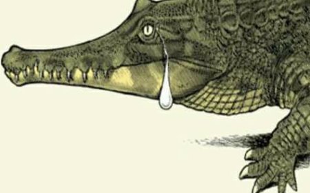 Fakta Mengejutkan di Balik Istilah “Air Mata Buaya” yang Perlu Kamu Tahu!