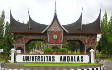 Tersesat? Ini Fakta Sebenarnya di Balik 17 Mahasiswa KKN Unand!