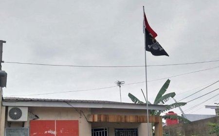 Warga Batam Kibarkan Bendera One Piece, Polisi Langsung Datang