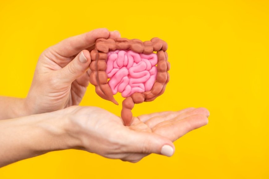 7 Cara Alami Membersihkan Usus agar Tubuh Tetap Fit dan Ringan!