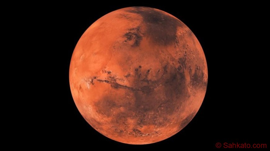 Elon Musk: Starship Bawa Manusia ke Mars Mulai 2031