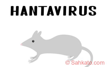 Hantavirus Kembali Jadi Sorotan, Kenali Gejala dan Cara Pencegahannya