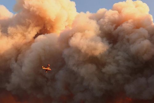 Kebakaran Hutan di Prancis Tenggara Hanguskan 1.700 Hektare Lahan