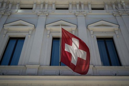 Pemilik Anjing di Chiasso, Swiss, Wajib Bersihkan Air Kencing Hewan