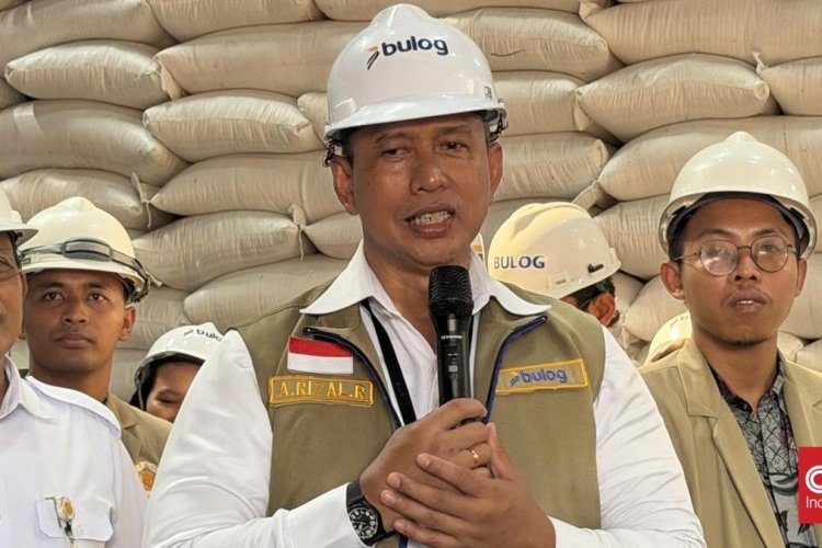 Bulog Pastikan Stok Beras Aman Meski 35 Ribu Hektare Sawah Terdampak El Nino