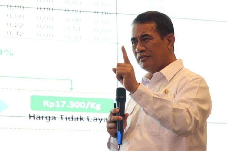 Kementan Temukan 80 Persen Beras Fortifikasi Tak Sesuai Standar