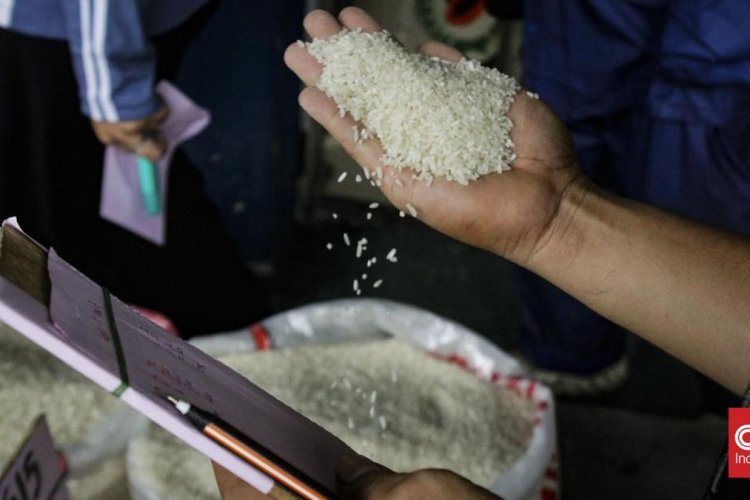 Mentan Ungkap Dugaan Praktik Mafia pada Beras Fortifikasi