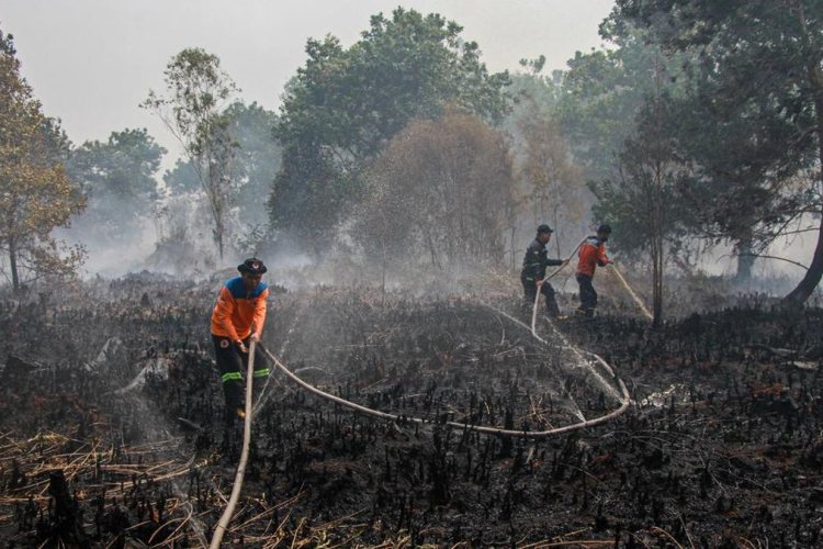 BMKG Catat 5.019 Titik Panas di Indonesia, Kewaspadaan Karhutla Meningkat
