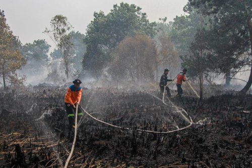 BMKG Catat 5.019 Titik Panas di Indonesia, Kewaspadaan Karhutla Meningkat