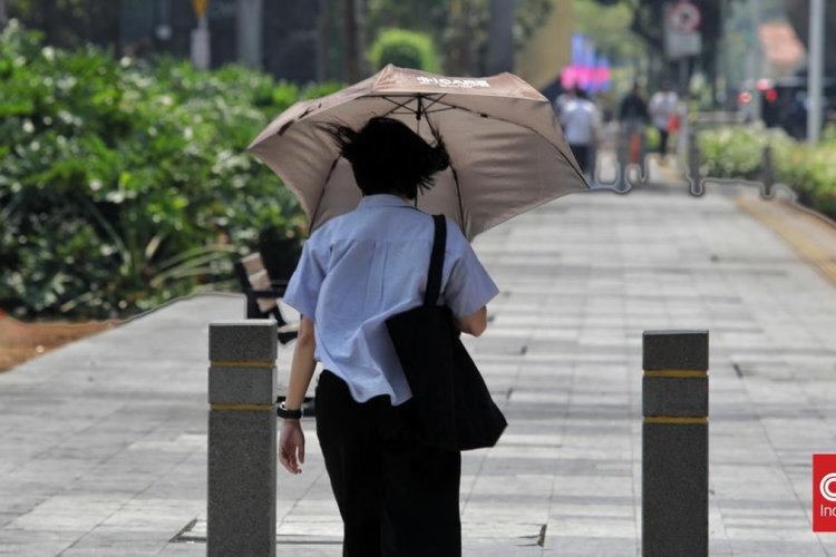 BMKG: Indonesia Masuk Fase El Nino Kuat, Waspada Kekeringan dan Karhutla