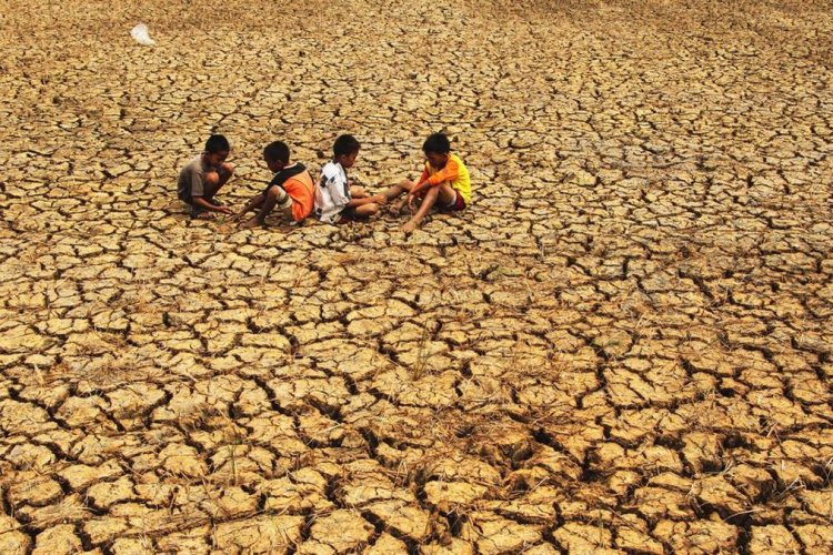 Super El Nino 2026 Diprediksi Lebih Ekstrem, Ini Penjelasan dan Dampaknya
