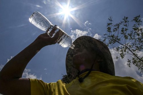 El Nino Diprediksi Menguat hingga Level Super, Waspada Dampak Kekeringan
