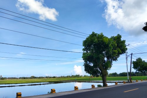 Prakiraan Cuaca Sumbar Minggu 30 Agustus 2026: Pagi Cerah, Sore Hujan, Malam Waspada Petir