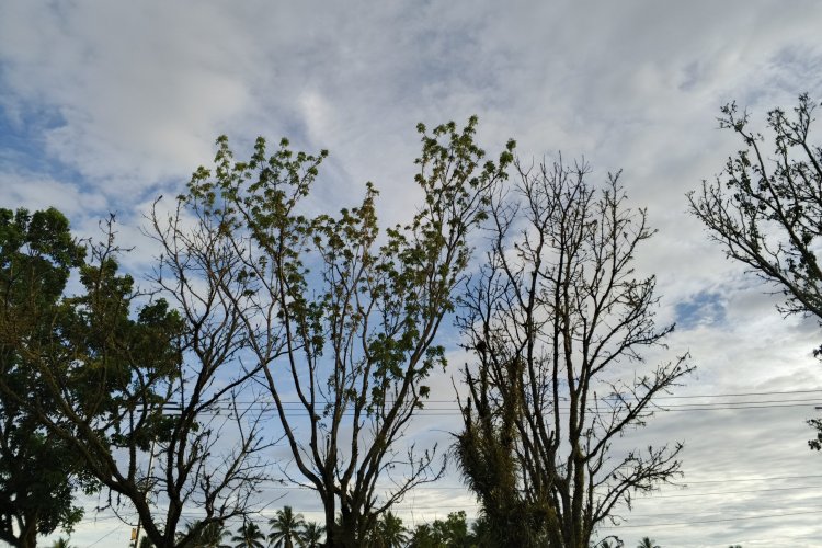 Cuaca Sumbar Hari Ini: Pagi Cerah, Sore Waspada Hujan Petir di Sejumlah Daerah