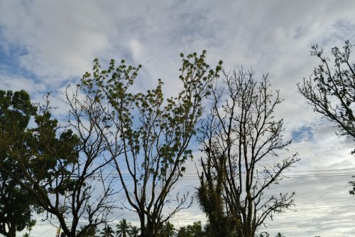 Cuaca Sumbar Hari Ini: Pagi Cerah, Sore Waspada Hujan Petir di Sejumlah Daerah