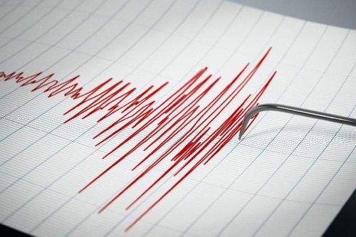 Gempa M7,0 Guncang Laut Flores, PLN Kerahkan Tim Pemulihan Listrik untuk Fasilitas Vital