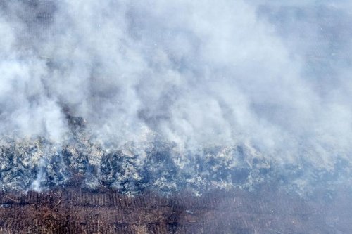 Kementerian PU Kirim 2.000 Liter Air ke Muaro Jambi, Api Karhutla Padam tapi Pendinginan Berlanjut
