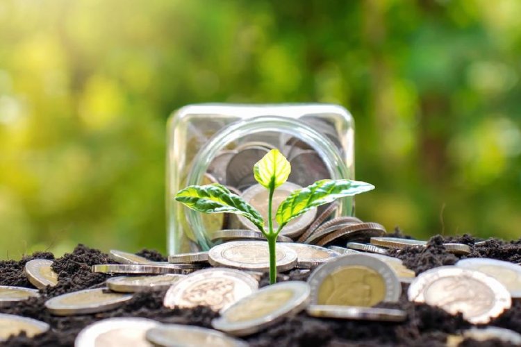 Desil 6-7 Mulai Bisa Investasi? Ini Peta Instrumen yang Pas Sesuai Kantong