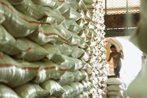 Stok Beras NTT 39 Ribu Ton, Pangan Pengungsi Gempa Dipastikan Aman Setahun