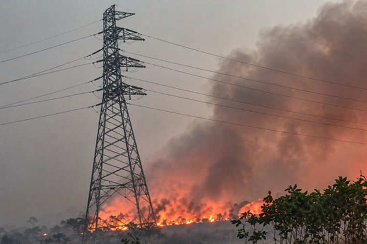 35 Pesawat Asing Disiapkan Kemenhub untuk Percepatan Pemadaman Karhutla di Kalimantan