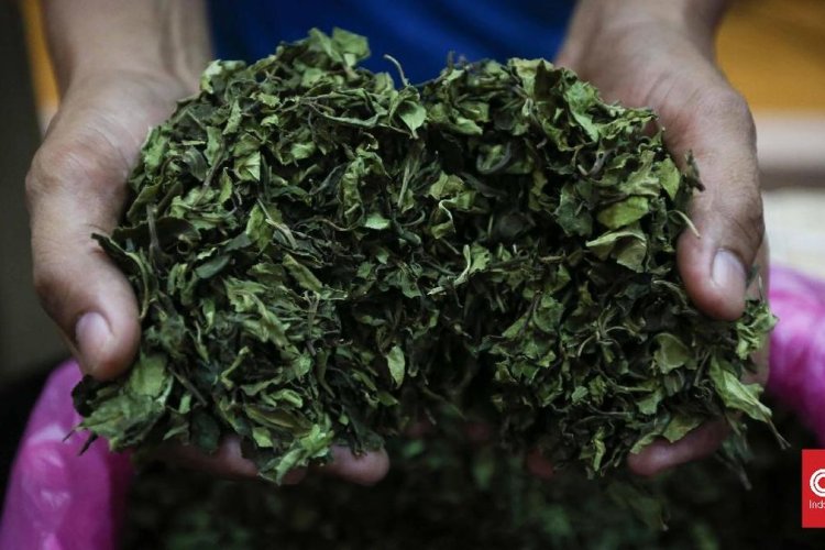 240 Kilogram Teh Arab Disita di Perbatasan, Delapan Penyelundup Ethiopia dan Yaman Diciduk
