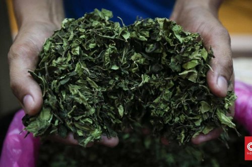 240 Kilogram Teh Arab Disita di Perbatasan, Delapan Penyelundup Ethiopia dan Yaman Diciduk