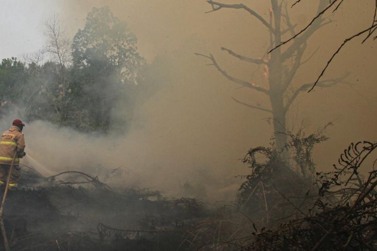 Jepang Kerahkan Helikopter JSDF Bantu Padamkan Karhutla Kalimantan atas Permintaan RI
