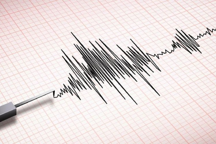 Dini Hari Diguncang Gempa 5,9 SR, Tokyo Lumpuh: 37 Luka dan Kereta Berhenti