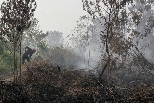 Kabut Asap Karhutla Kalimantan Bikin Udara Tak Sehat, Malaysia Tutup 108 Sekolah di Sarawak