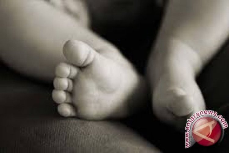 Kronologi Wanita Bersalin di Toilet Puskesmas Tambora, Bayi Ditemukan di Tong Sampah