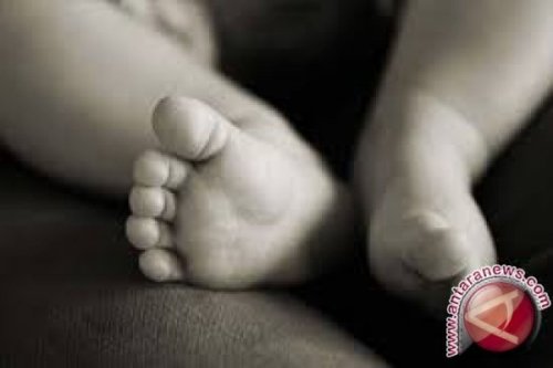 Kronologi Wanita Bersalin di Toilet Puskesmas Tambora, Bayi Ditemukan di Tong Sampah