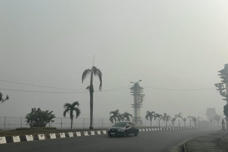 776 Titik Panas Terdeteksi di Kalsel, BMKG: Jarak Pandang Turun Drastis hingga 200 Meter