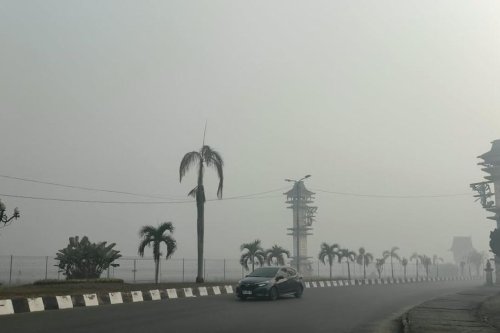 776 Titik Panas Terdeteksi di Kalsel, BMKG: Jarak Pandang Turun Drastis hingga 200 Meter
