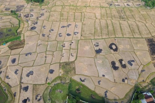 El Nino Kuat Landa Indonesia, 8 Provinsi Masuk Kategori Awas Kekeringan Ekstrem