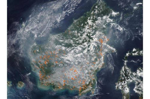 Citra Satelit NASA Ungkap Kalimantan Diselimuti Asap, 1.106 Hotspot Terdeteksi