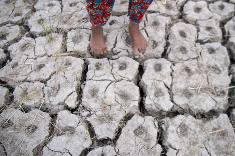 El Nino 2026 Diprediksi Cetak Rekor Terkuat, 2027 Berisiko Jadi Tahun Terpanas
