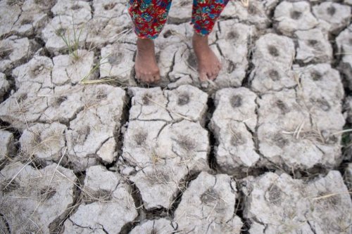 El Nino 2026 Diprediksi Cetak Rekor Terkuat, 2027 Berisiko Jadi Tahun Terpanas