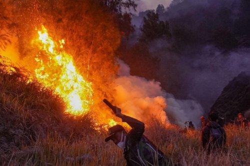 El Nino Kini Masuk Kategori Kuat, BMKG Peringatkan Kemarau Ekstrem dan Risiko Karhutla Meluas