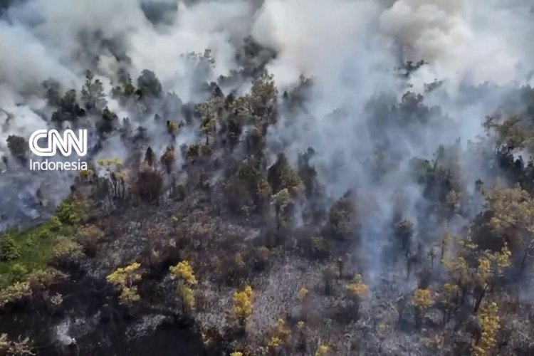 Asap Karhutla Kalimantan Terbawa Angin, Polusi Udara Sarawak Capai Level Sangat Tidak Sehat