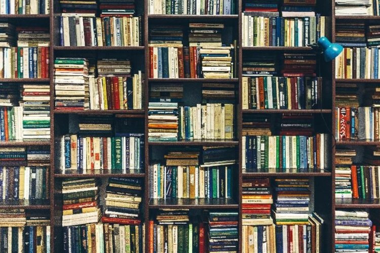 Rahasia di Balik Pemusnahan Jutaan Buku oleh Perusahaan AI, Ternyata untuk Alasan Ini