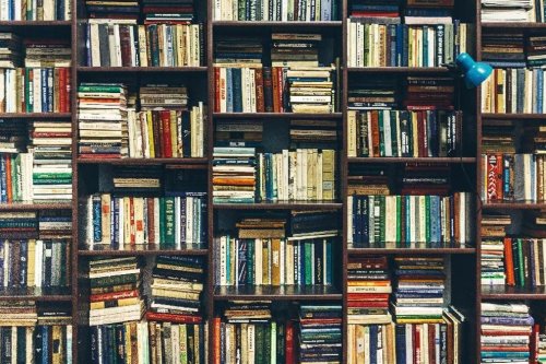 Rahasia di Balik Pemusnahan Jutaan Buku oleh Perusahaan AI, Ternyata untuk Alasan Ini