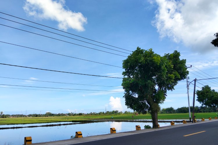 BMKG Rilis Ramalan Cuaca Sumbar 5 September: Pagi Cerah, Siang Hujan Ringan di Sejumlah Daerah