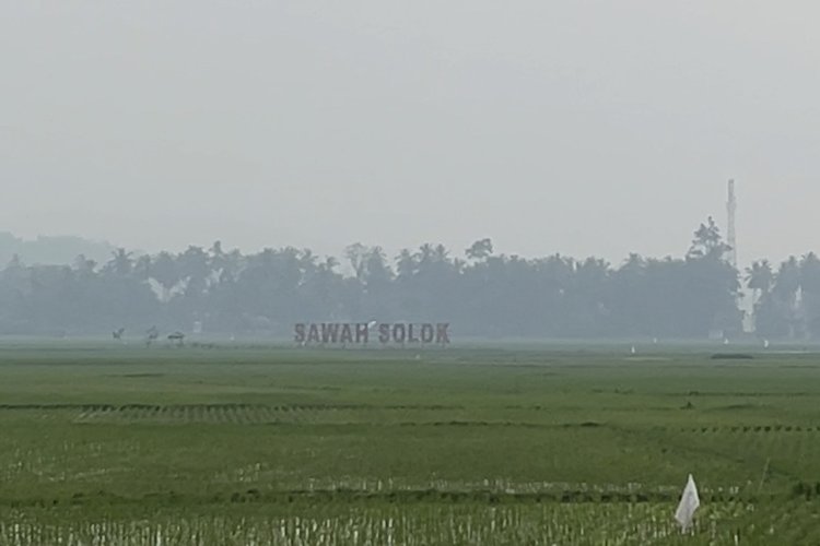 Kabut Asap Landa Kota Solok, Penjualan Masker Meledak hingga 30 Box per Hari