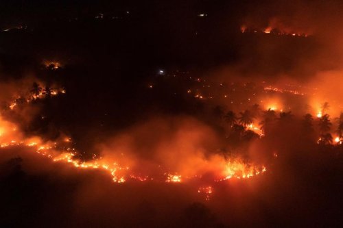 BMKG Peringatkan September 2026 Masih Jadi Fase Kritis Karhutla, El Nino Bertahan hingga 2027