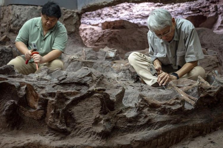 Thailand Timur Laut Jadi Ladang Penemuan Fosil Dinosaurus, Peneliti Terus Menggali