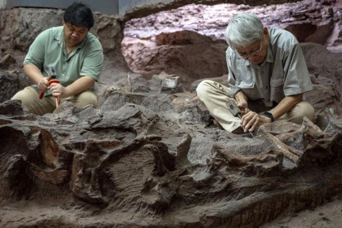 Thailand Timur Laut Jadi Ladang Penemuan Fosil Dinosaurus, Peneliti Terus Menggali