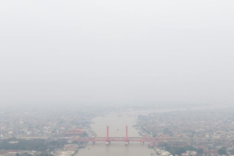 Emisi Karbon Karhutla Indonesia Melonjak 429 Persen, El Nino Jadi Pemicu Utama