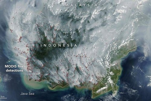 Satelit NASA Pindai Kalimantan, Kabut Asap Karhutla Makin Pekat dan Sulit Terdeteksi